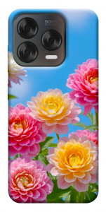 Чохол Summer day для ZTE Nubia V70 Design