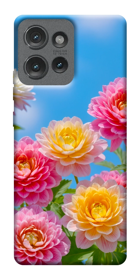 Чехол Summer day для Motorola Edge 50