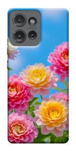 Чохол Summer day для Motorola Edge 50