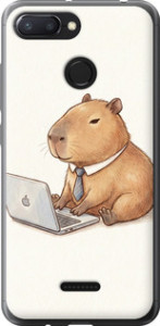Чохол для Xiaomi Redmi 6 Funny Capybara CEO Working (Різнокольоровий)