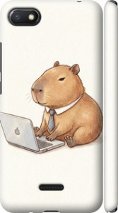 Чехол для Xiaomi Redmi 6A Funny Capybara CEO Working (Разноцветный)
