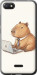 Чехол для Xiaomi Redmi 6A Funny Capybara CEO Working (Разноцветный)