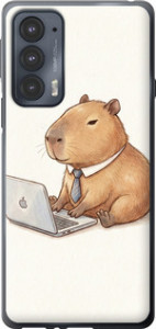 Чохол для Motorola Edge 20 Funny Capybara CEO Working (Різнокольоровий)