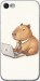 Чехол для iPhone SE 2022 Funny Capybara CEO Working (Разноцветный)