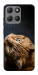 Чехол Рыжий кот для Motorola Moto G15 Power