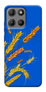 Чехол Колоски для Motorola Moto G15 Power