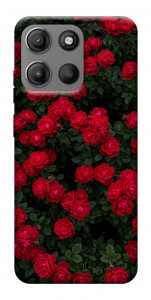 Чехол Eternal roses для Motorola Moto G15 Power