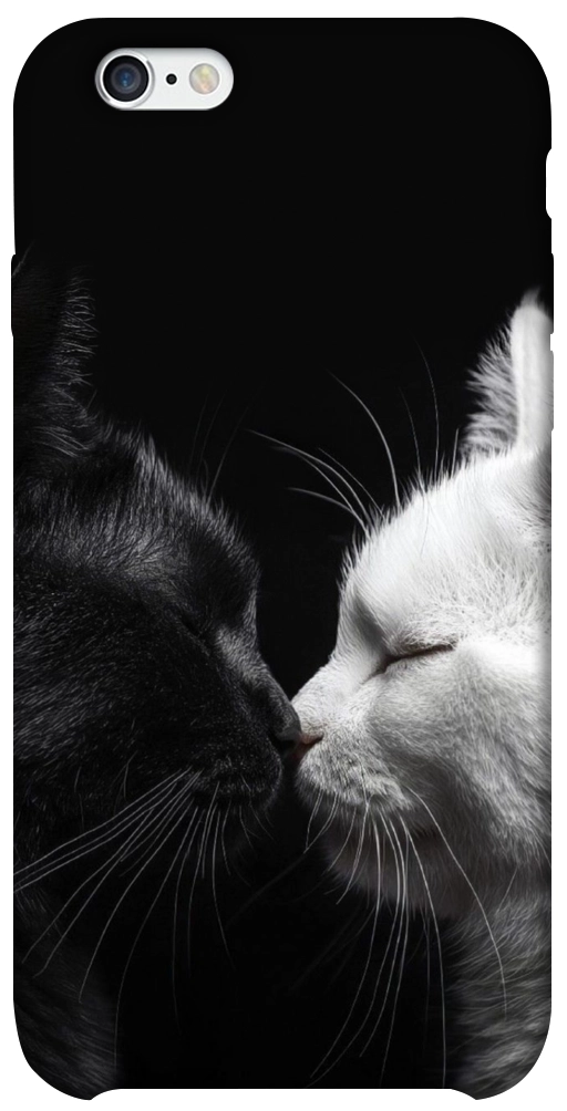 Чохол Black and white cats для iPhone 6