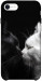 Чехол Black and white cats для iPhone SE (2020)