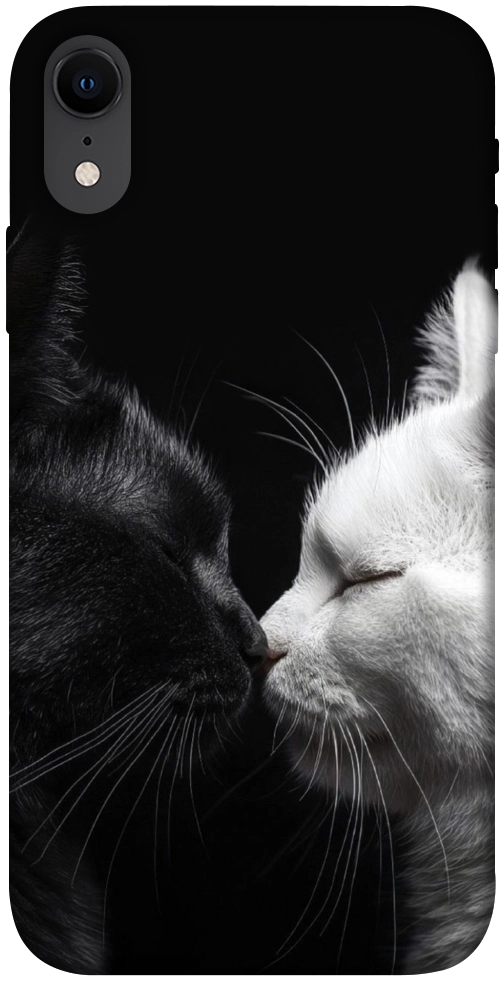 Чехол Black and white cats для iPhone XR