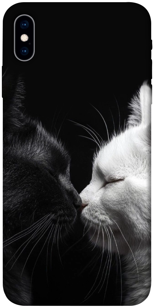 Чехол Black and white cats для iPhone X