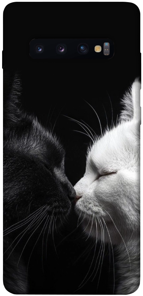Чехол Black and white cats для Galaxy S10 Plus (2019)