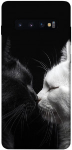 Чехол Black and white cats для Galaxy S10 Plus (2019)