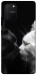 Чохол Black and white cats для Galaxy S10 Lite (2020)