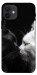 Чехол Black and white cats для iPhone 12
