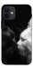 Чехол Black and white cats для iPhone 12 mini