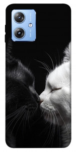 Чехол Black and white cats для Motorola Moto G84