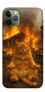 Чохол Burning cat для iPhone 11 Pro