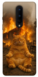 Чохол Burning cat для OnePlus 8