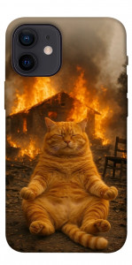 Чохол Burning cat для iPhone 12 mini