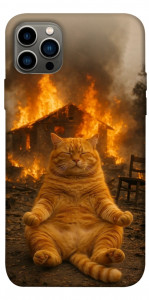 Чехол Burning cat для iPhone 12 Pro