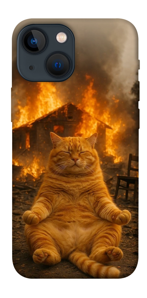 Чехол Burning cat для iPhone 13 mini