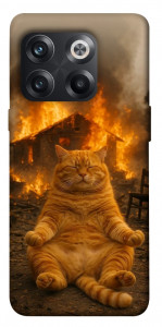 Чохол Burning cat для OnePlus 10T