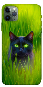 Чохол Cat in the grass для iPhone 11 Pro Max