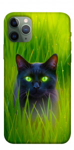 Чохол Cat in the grass для iPhone 11 Pro