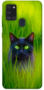 Чохол Cat in the grass для Galaxy A21s (2020)