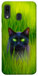 Чехол Cat in the grass для Samsung Galaxy A30