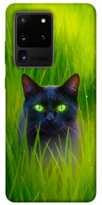 Чохол Cat in the grass для Galaxy S20 Ultra (2020)