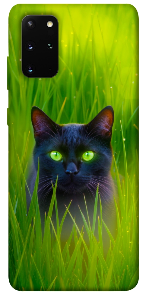 Чехол Cat in the grass для Galaxy S20 Plus (2020)