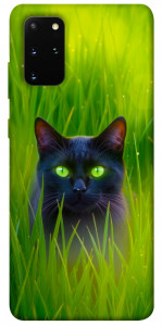 Чохол Cat in the grass для Galaxy S20 Plus (2020)