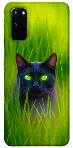 Чохол Cat in the grass для Galaxy S20 (2020)