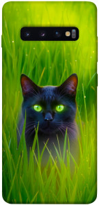 Чехол Cat in the grass для Galaxy S10 Plus (2019)