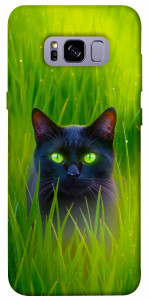Чехол Cat in the grass для Galaxy S8+