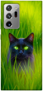 Чехол Cat in the grass для Galaxy Note 20 Ultra