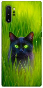Чехол Cat in the grass для Galaxy Note 10+ (2019)