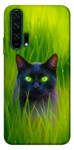Чехол Cat in the grass для Huawei Honor 20 Pro