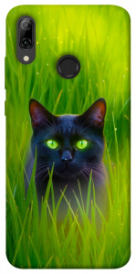 Чехол Cat in the grass для Huawei P Smart (2019)