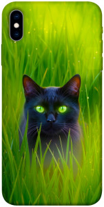 Чехол Cat in the grass для iPhone XS