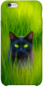 Чехол Cat in the grass для iPhone 6s plus (5.5'')