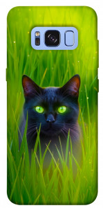 Чехол Cat in the grass для Galaxy S8 (G950)