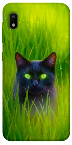 Чохол Cat in the grass для Galaxy A10 (A105F)