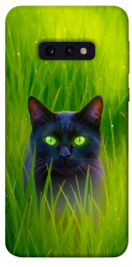 Чохол Cat in the grass для Galaxy S10e