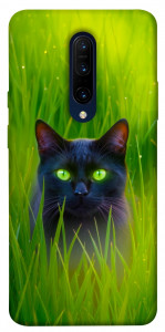 Чехол Cat in the grass для OnePlus 7 Pro