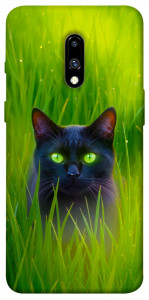 Чехол Cat in the grass для OnePlus 7
