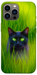 Чохол Cat in the grass для iPhone 12 Pro Max