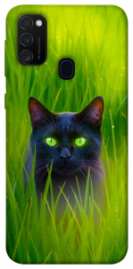 Чохол Cat in the grass для Samsung Galaxy M30s﻿